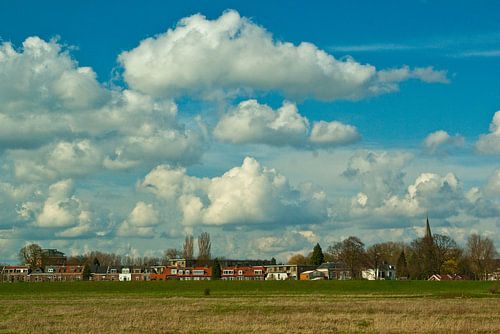 Hollands landschap