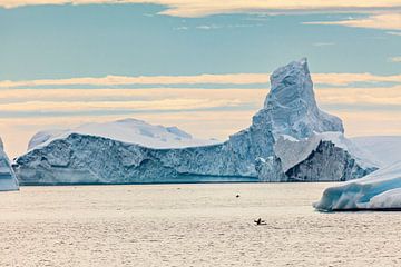 De ijsbergen van Antarctica van Roland Brack