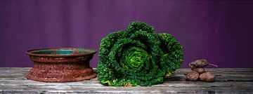 366 Savoy cabbage by Hay Hermans