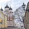 Kathedraal in straatbeeld in Tallinn, Estland van Jessica Lokker