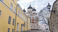 Kathedrale in Tallinn, Estland von Jessica Lokker Miniaturansicht