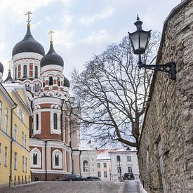 Cathedral in Tallinn, Estonia by Jessica Lokker