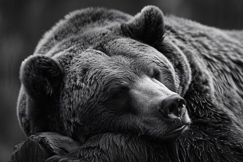 Rustende beer op een stam in zwart-wit