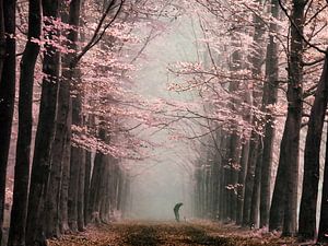 Magischer Wald von Lars van de Goor