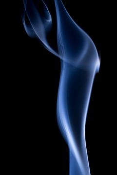 Blue Long Smoke. van Robert Wiggers