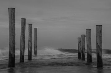 Waves by Maarten van Roozendaal