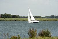 Zeilboot 