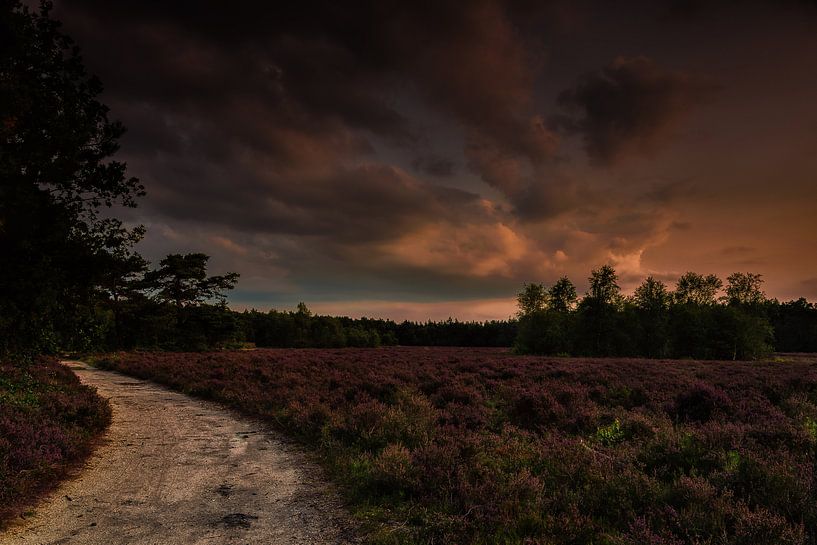 Zonsondergang op Wezepse heide van Jos Reimering
