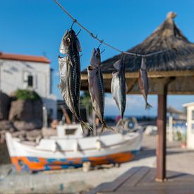 Skala Sikamineas sur Raymond Trienekens