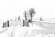Winter im Alblasserwaard: Polderlandschaft in schwarz-weiß von Beeldbank Alblasserwaard Miniaturansicht