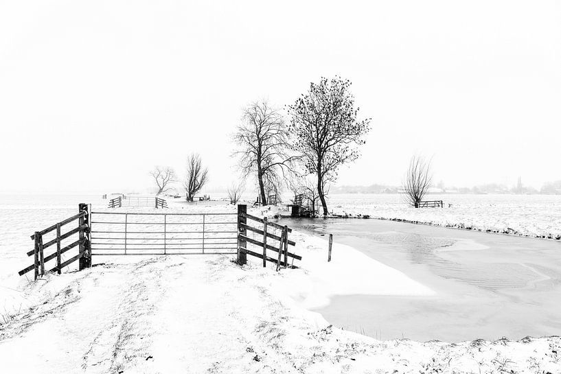 Winter im Alblasserwaard: Polderlandschaft in schwarz-weiß von Beeldbank Alblasserwaard