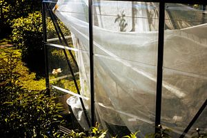 Gewächshaus im Sonnenlicht – transluzente Folie & grafische Linien | minimalistische Gartenkunst