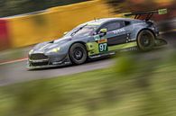 Aston Martin achter de bosjes van Richard Kortland thumbnail