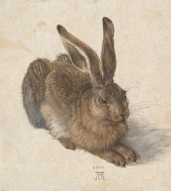 Haas, Albrecht Dürer