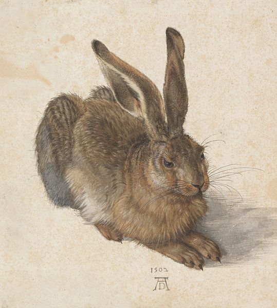 Albrecht Dürer - Hare von Meesterlijcke Meesters