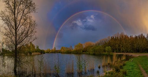 rainbow in the maashorst