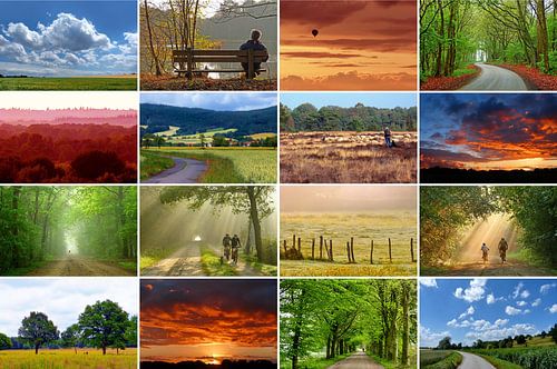 Landlords... (Landscape Collage)