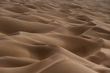 Zee van duinen in de woestijn | Sahara