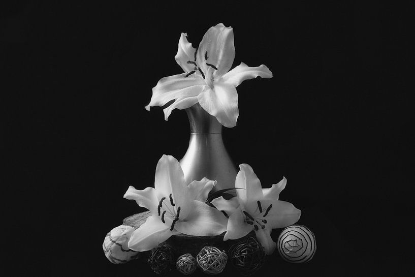 Stilleben der Lilie 1 von WeVaFotografie