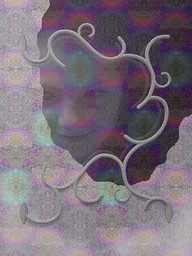 THE CONCEALED WINDOW