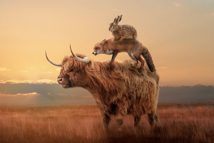 animal stack by Roxyfotografie.nl