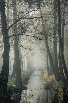 Mystic morning van Dirk van Egmond