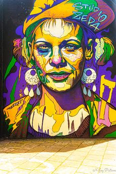 Street Art La fosse aux ours "Step in The Arena&quot ; Eindhoven