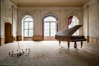 Verlassenes Klavier im Zerfall. von Roman Robroek Miniaturansicht