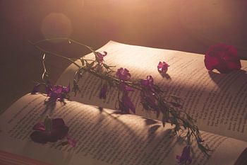 Worte in der frühen Morgensonne