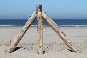 Wooden fence at the beach