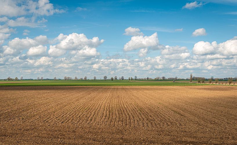 Freshly sown Dutch field on a cloudy day by Ruud Morijn