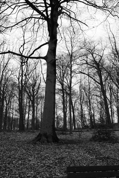 totale rust  by joeri deraes