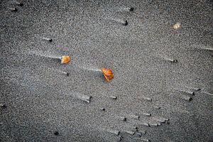 échoué sur la plage sur Ed Dorrestein