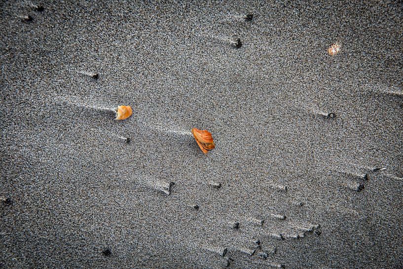 échoué sur la plage par Ed Dorrestein