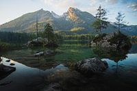 Reflections