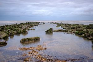 Wellenbrecher