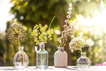 Various pots with flowers and a honey bee