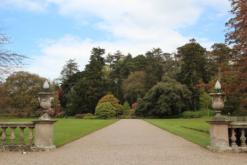 Tuin, Garden, Ierland von Tineke Roosen