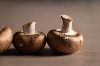 mushrooms in a row