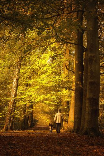 Bijzondere ontmoetingen