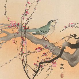 Ohara Koson - Japanse karekiet en Japanse pruim (bewerkt) van Peter Balan