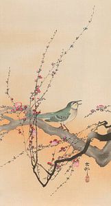 Ohara Koson - Japanischer Buschrohrsänger und Japanische Pflaume (bearbeitet)