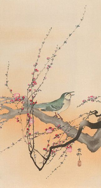 Ohara Koson - Japanese reed warbler and Japanese plum (edited) by Peter Balan
