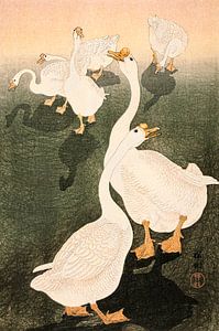 Geese (1926) by Ohara Koson. van Studio POPPY