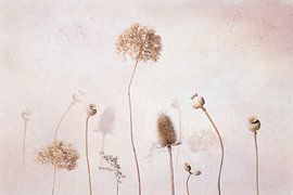 Dried flowers still life by Joske Kempink