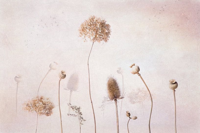 Getrocknete Blumen, Stilleben von Joske Kempink