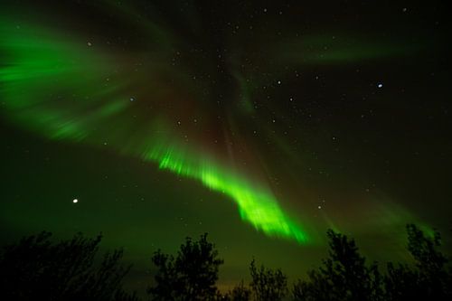 Noorderlicht Aurora borealis IJSland