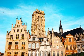 Grote Markt Mechelen met uitzicht op Sint-Romboutskathedraal van Sven van Rooijen
