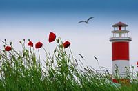 Summer romance by the sea 
