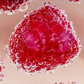 Framboos met bubbels van Dafne Vos